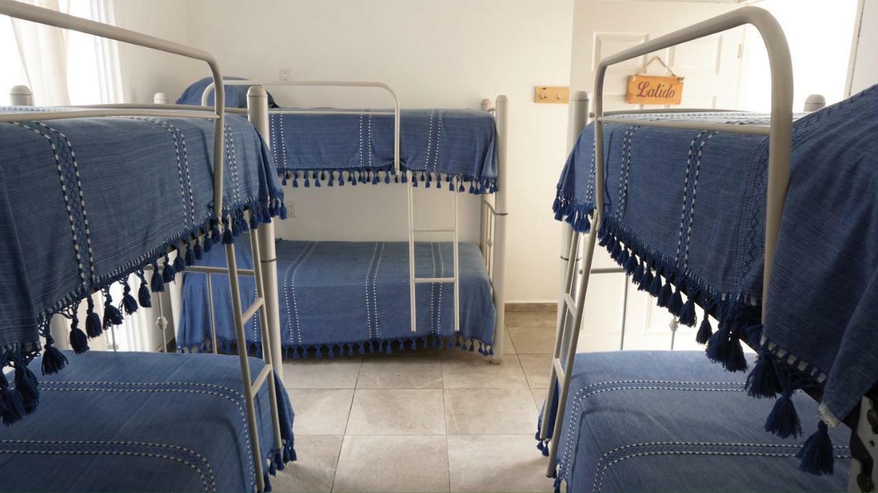 Amorcito Corazon Hotel & Hostal Tulum Pueblo Buitenkant foto